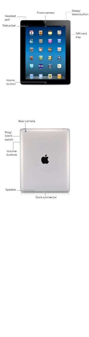 Device Diagram