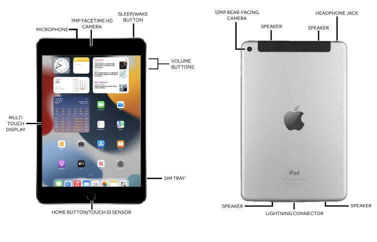 Device Diagram