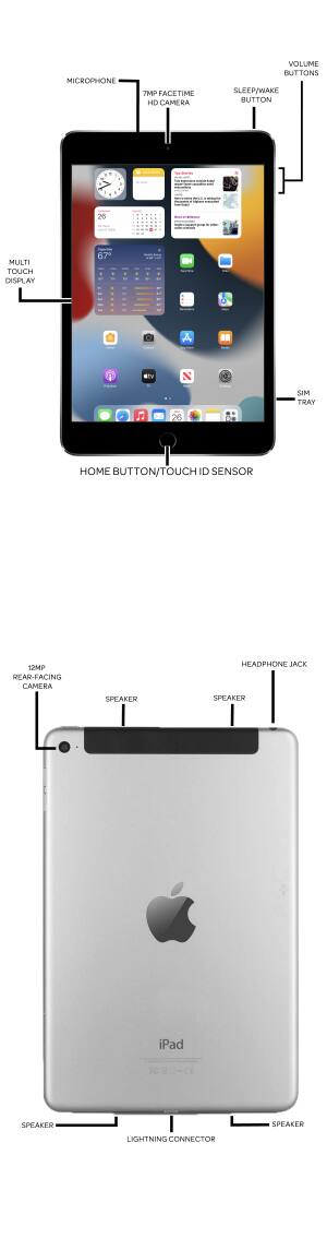 Device Diagram