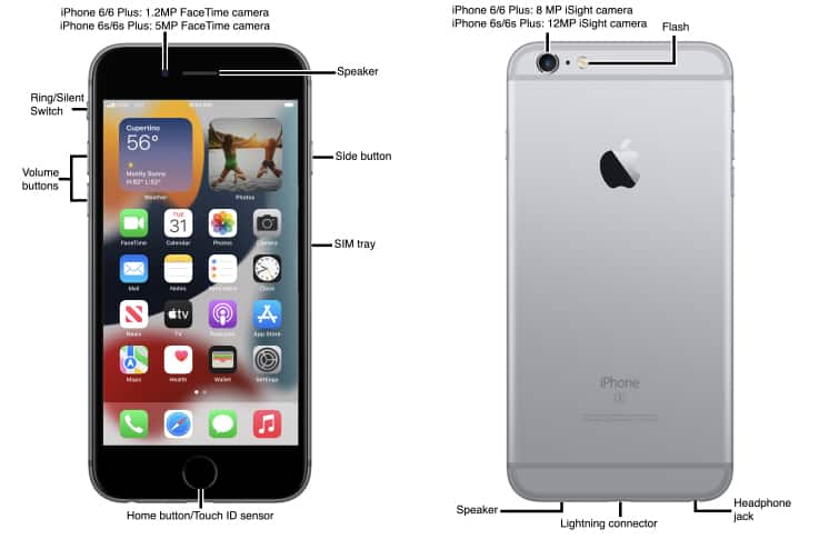 Device Diagram