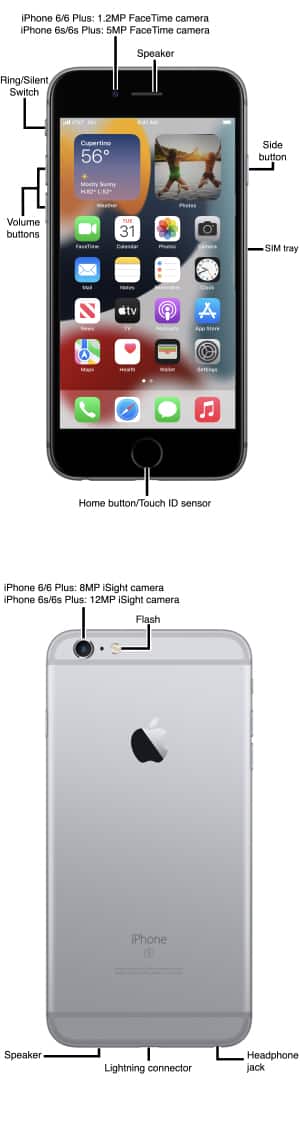 Device Diagram