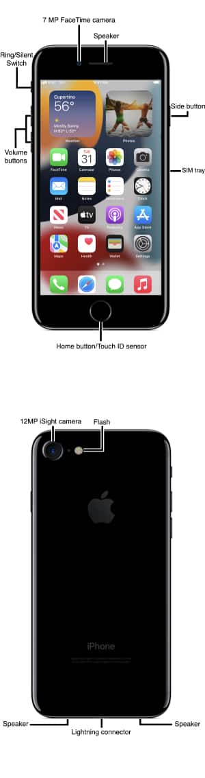Device Diagram