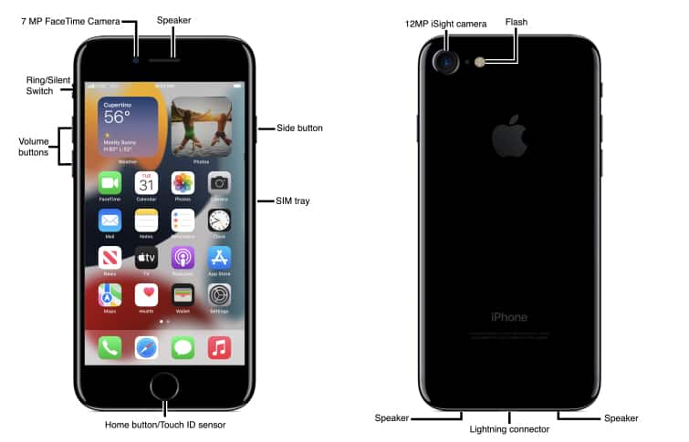 Device Diagram