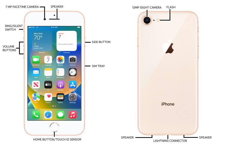 Device Diagram