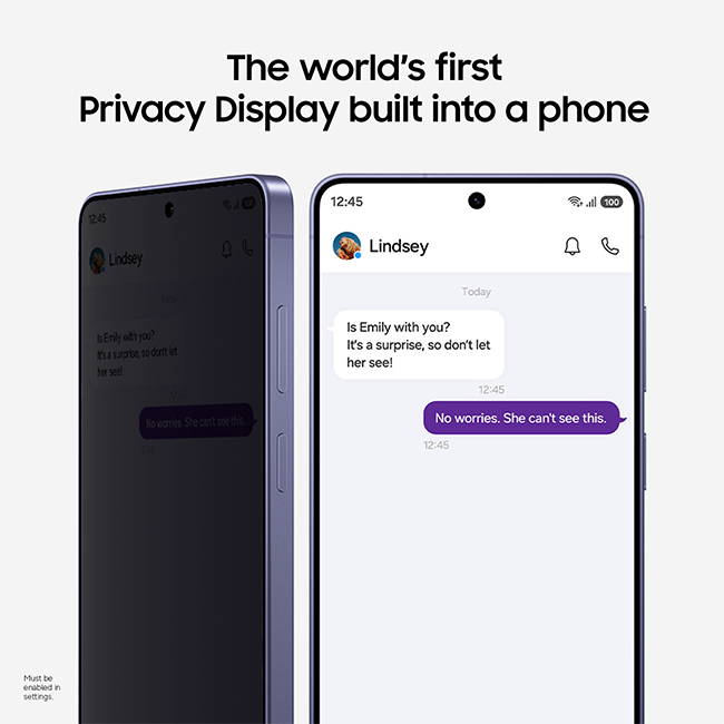 Privacy Display