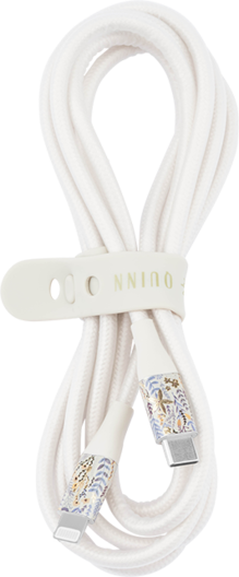 Carson & Quinn USBC to Lightning Printed Cable Sunkissed Dreams Blue with Neutral cable
