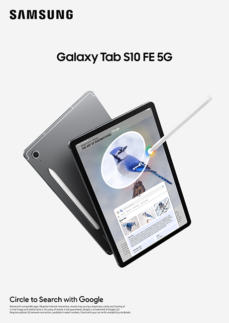 Samsung Galaxy Tab S10 FE 5G - Gray  (Product view 4)