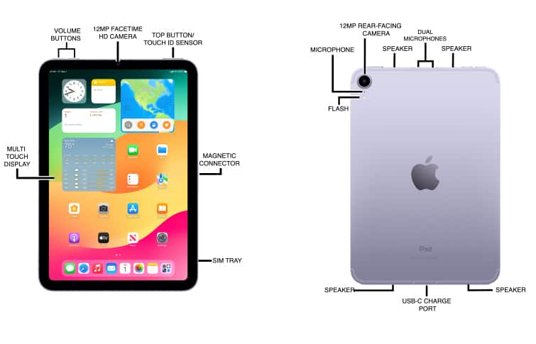 Device Diagram