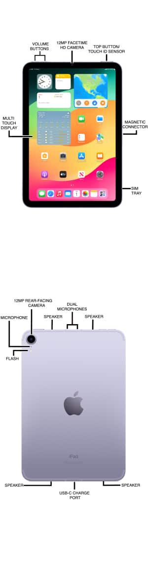 Device Diagram