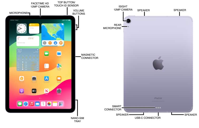 Device Diagram