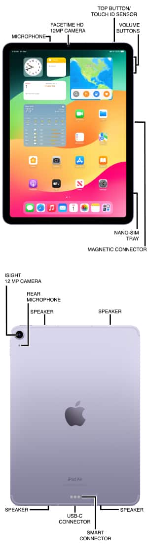 Device Diagram
