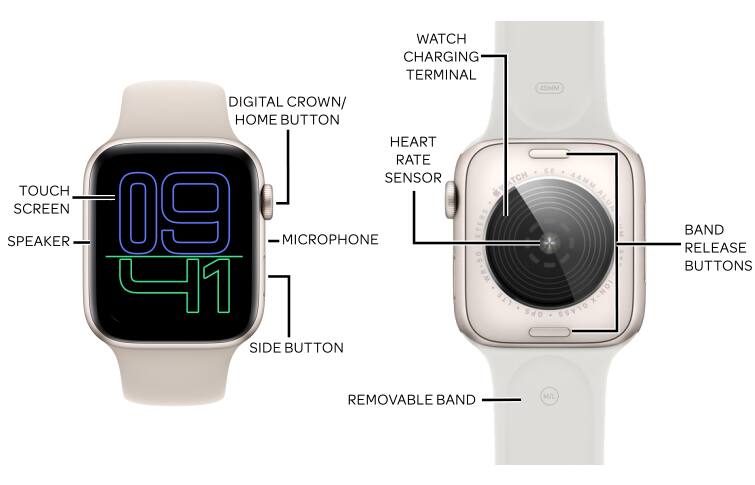 Device Diagram