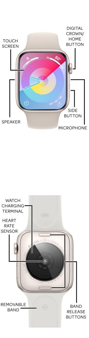 Device Diagram